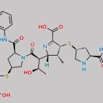 Ertapenem Dimer I CAS#: 1199797-41-5