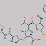 Ertapenem Impurity 23 CAS#: N/A