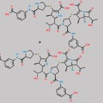 Ertapenem Impurity 29 CAS#: N/A