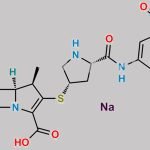 Ertapenem Sodium CAS#: 153773-82-1