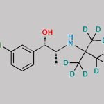 Erythrohydro Bupropion D9 CAS#: 2140262-49-1