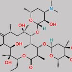 Erythromycin CAS#: 114-07-8