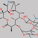 Erythromycin A 6,9-iminoether CAS#: N/A
