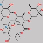 Erythromycin B Oxime CAS#: 53274-43-4