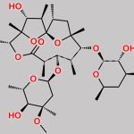 Erythromycin EP Impurity D CAS#: 23893-13-2