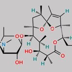 Erythromycin EP Impurity I CAS#: N/A