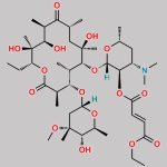 Erythromycin Ethyl Fumarate CAS#: 122293-08-7