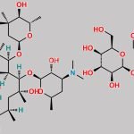 Erythromycin lactobioate A CAS#: 3847-29-8