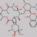 Erythromycin Phthalyl Ester CAS#: 121057-86-1
