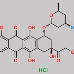 Esorubicin Hydrochloride CAS#: 63950-06-1