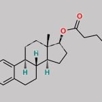Estradiol 17-Hexanoate CAS#: 71764-18-6
