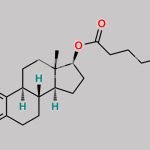 Estradiol 17-Octanoate CAS#: 63042-22-8