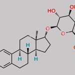 Estradiol-17beta-glucuronide CAS#: 1806-98-0