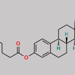 Estradiol 3-Enanthate CAS#: 55540-97-1