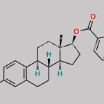 Estradiol Benzoate EP Impurity D CAS#: 983-30-2