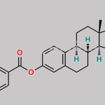 Estradiol Benzoate EP Impurity G CAS#: 2393-53-5