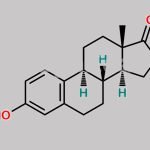 Estradiol Hemihydrate EP Impurity A CAS#: 53-16-7