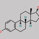 Estradiol Hemihydrate EP Impurity B CAS#: 57-91-0