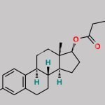 Estradiol Valerate CAS#: 979-32-8