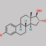 Estriol CAS#: 50-27-1