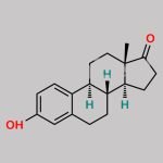 Estriol EP Impurity B CAS#: 53-16-7