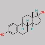 Estriol EP Impurity J CAS#: 57-91-0