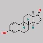Ethinylestradiol EP Impurity C CAS#: 53-16-7