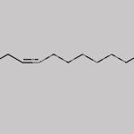 Ethyl 11(Z)-Eicosenoate CAS#: 137202-21-2
