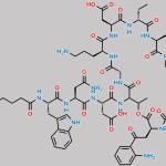 Ethyl Isomer Of Daptomycin CAS#: N/A