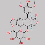 Etoposide EP Impurity D CAS#: 23363-35-1
