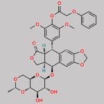 Etoposide EP Impurity F CAS#: N/A