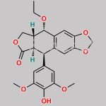 Etoposide EP Impurity H CAS#: 102306-95-6