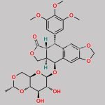 Etoposide EP Impurity I CAS#: 111712-42-6