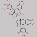 Etoposide EP Impurity K CAS#: N/A