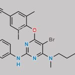 Etravirine Butanamide Impurity CAS#: 2240161-92-4