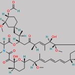Everolimus EP Impurity E CAS#: 1237826-25-3