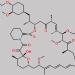 Everolimus Impurity 5 CAS#: N/A