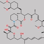 Everolimus Impurity 6 CAS#: 408496-50-4