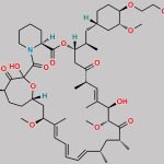Everolimus Isomer C CAS#: 908340-97-6