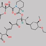Everolimus t-Butyldimethylsilyl Ether CAS#: 159351-68-5