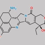 Exatecan CAS#: 171335-80-1