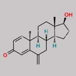 Exemestane EP Impurity H CAS#: 122370-91-6