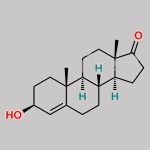 Exemestane Impurity 16 CAS#: 571-44-8