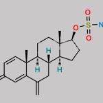 Exemestane Metabolite 1 CAS#: N/A