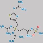 Famotidine S,S Diguanidino Impurity CAS#: N/A