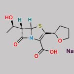 Faropenem Sodium Salt CAS#: 122547-49-3