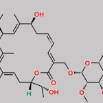 Fidaxomicin Impurity 5 CAS#: 106008-69-9