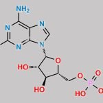 Fludarabine Phosphate CAS#: 75607-67-9