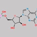 Fludarabine Phosphate EP Impurity A CAS#: 62314-92-5