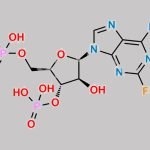 Fludarabine Phosphate EP Impurity C CAS#: 548774-53-4